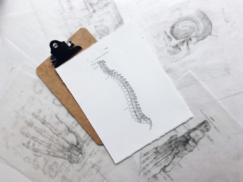 picture of spine on clipboard